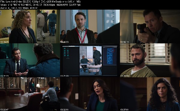 328556829_law-and-order-s22e10-1080p-hevc-x265-megusta.jpg