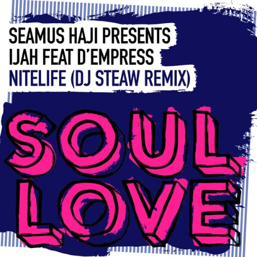 Seamus-Haji-Nitelife-DJ-Steaw-Remix-SL043-WEB-2026-BB.jpg
