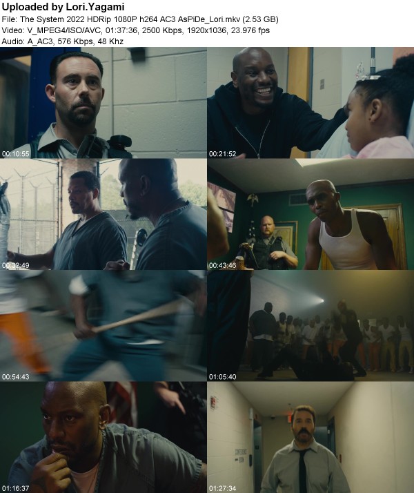 369844825_the_system_2022_hdrip_1080p_h264_ac3_aspide_lori.jpg