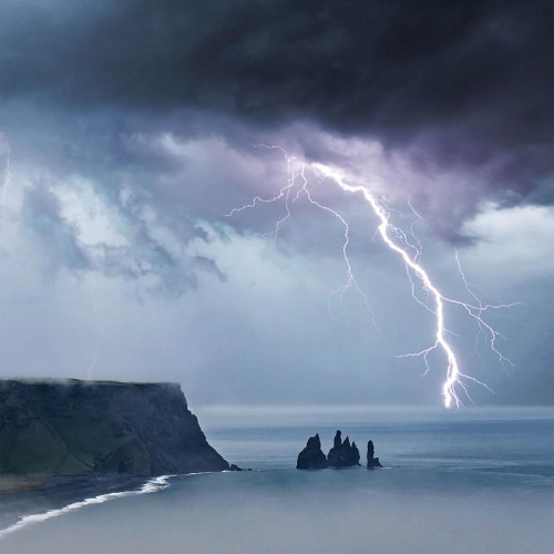 Ilienses-Tree-Toward-the-Storm-WEB-2026-ENTi-TLED.jpg