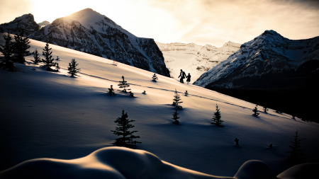 422a7e09-af9d-4f55-b022-11195f80f295.png