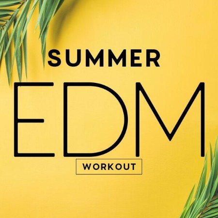 V-A-Summer-EDM-Workout-2025-Dance-Flac-16-44.jpg
