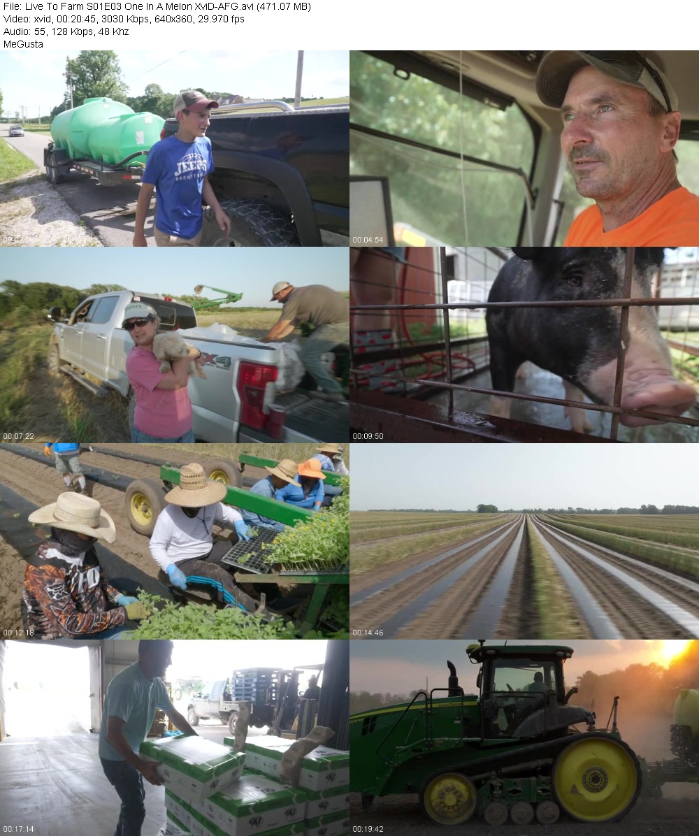 318666217_mud9jg66zf9t.jpg