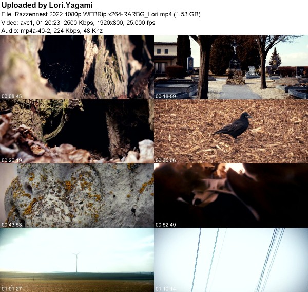 362436725_razzennest-2022-1080p-webrip-x264-rarbg_lori.jpg