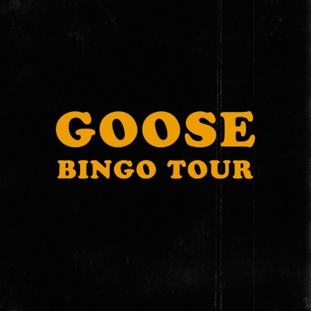 Goose-Bingo-Tour-16-BIT-WEB-FLAC-2020-ENVi-ED.jpg