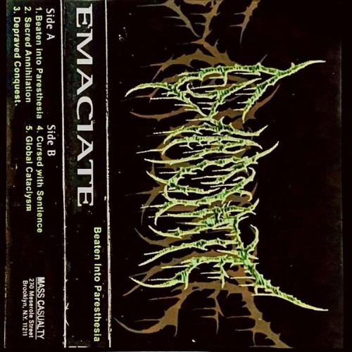Emaciate-Beaten-Into-Paresthesia-24BIT-WEB-FLAC-2026-VEXED.jpg