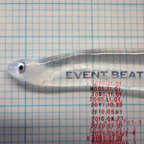 Holy-Fuck-Event-Beat-WEB-2026-ENVi-ED.jpg