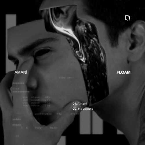 00-floam-amani-dfrm027-web-2026-cover.jpg