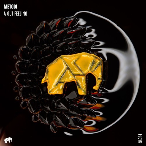 METODI-A-Gut-Feeling-Original-Mix-SA344-SINGLE-WEB-2026-AOV.jpg
