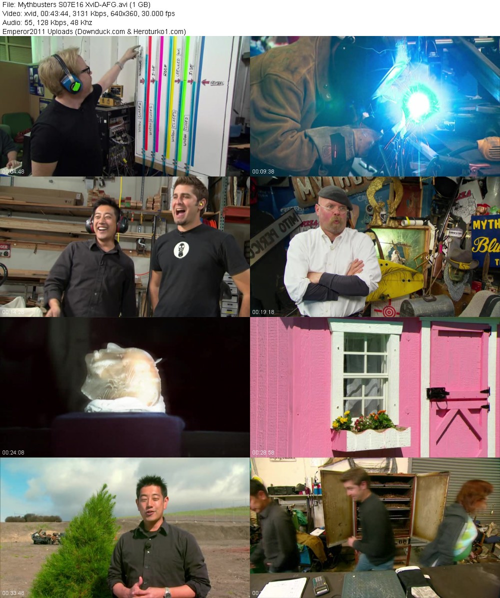 361254097_asg5u9zy8dx1.jpg
