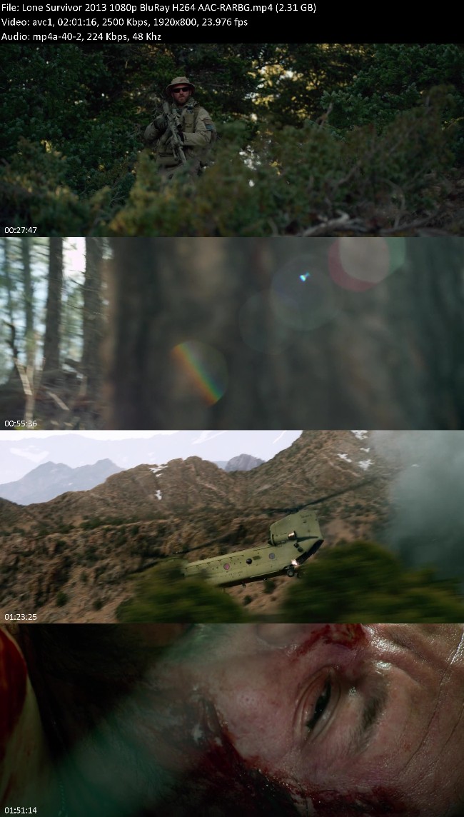 362020309_lone-survivor-2013-1080p-bluray-h264-aac-rarbg.jpg