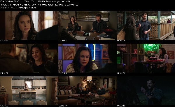 332603828_walker-s03e10-1080p-hevc-x265-megusta.jpg