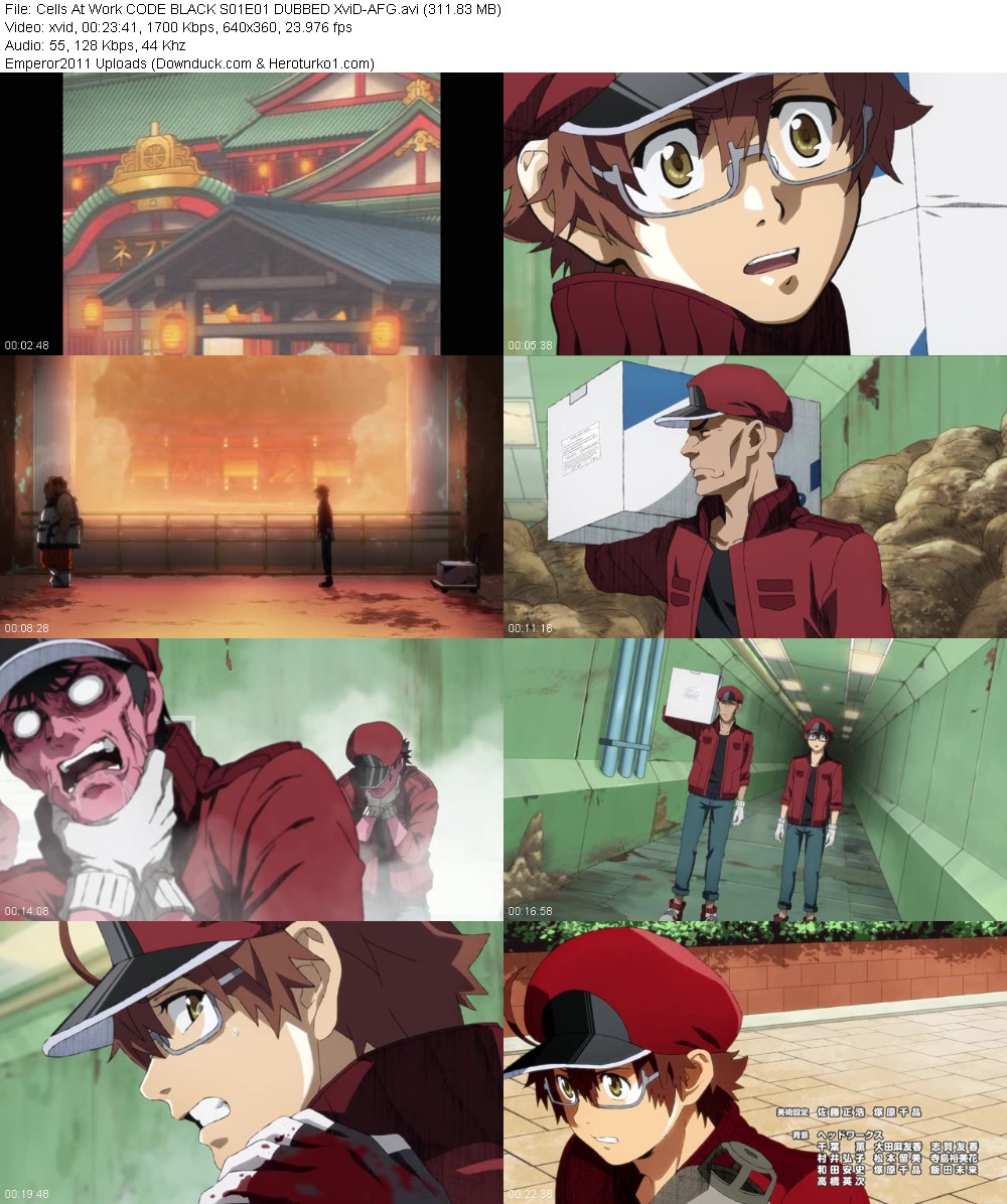 368505772_e51px2pg6kcz.jpg