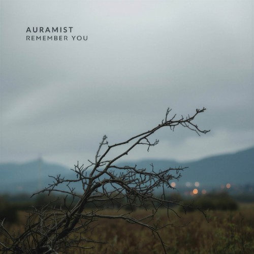 00-auramist-remember-you-dnbbr-E044-web-2026-cover.jpg