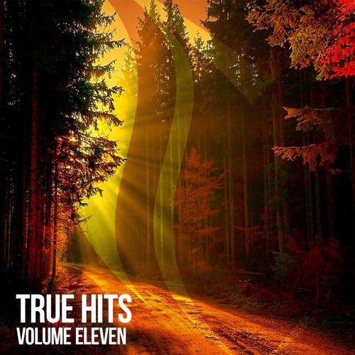 00-va-true-hits-vol-11-extended-mixes-truecl066-web-2026.jpg