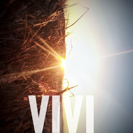 SUMERO-VIVI-2025-FLAC-16-BITS-44-1-KHZ-EICHBAUM.jpg