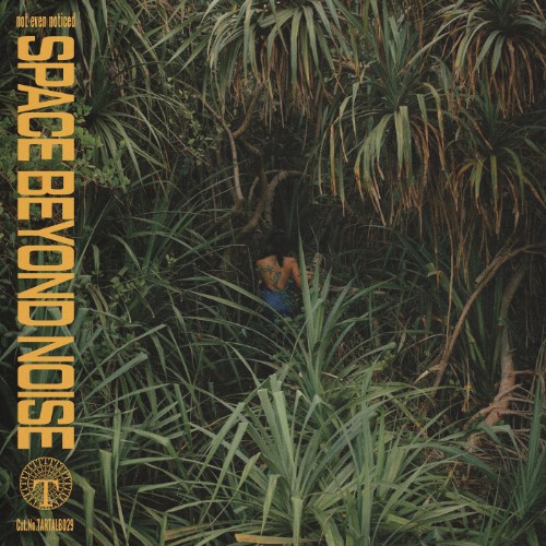 00-not-even-noticed-space-beyond-noise-tartalb029d-web-2026-cover.jpg
