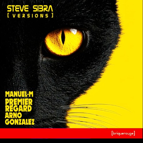 00-steve-sibra-versions-br421-web-2026-cover.jpg