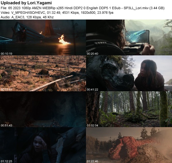 347982667_65_2023_1080p_amzn_webrip_x265-sp3ll_lori.jpg