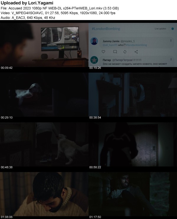 382764291_accused_2023_1080p_nf_web-dl_x264-pterweb_lori.jpg