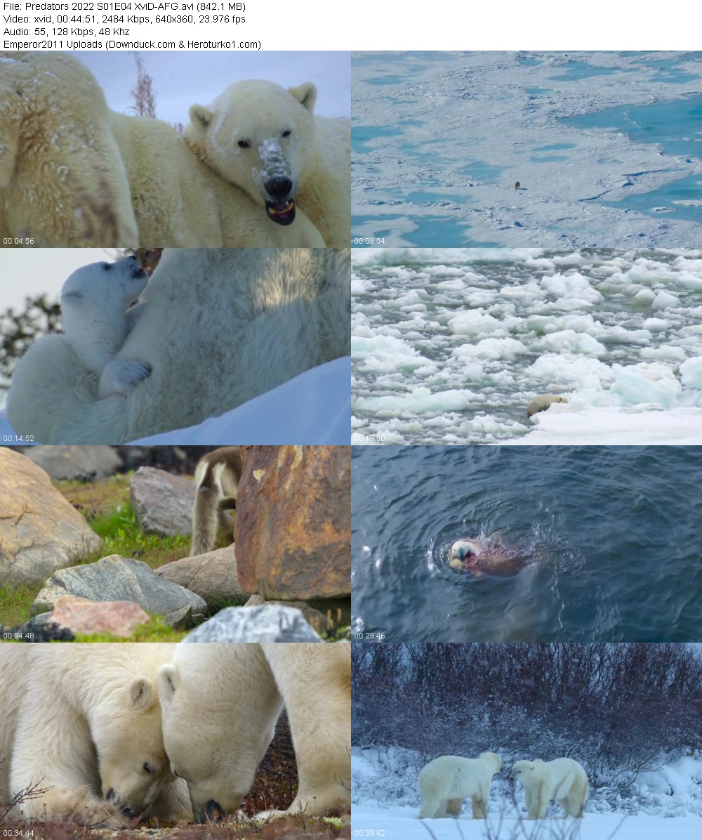 380275449_vl552vcvj4se.jpg