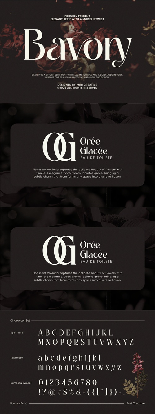 602974502_bavory-elegant-serif-e9je3hg.jpg