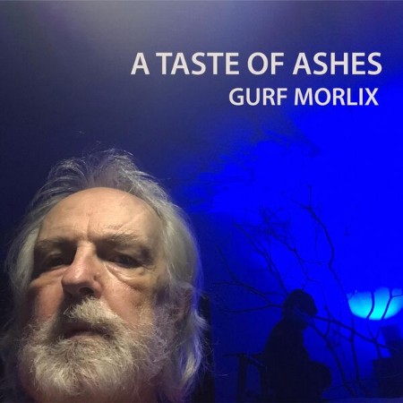 Gurf-Morlix-The-Taste-Of-Ashes-16-BIT-WEB-FLAC-2025-OBZEN.jpg