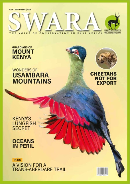 695680119_g7bm470fi42y.jpg