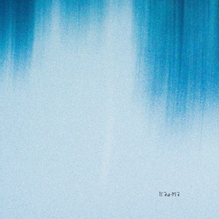Rare-And-Rile-Split-TRM371-16BIT-WEB-FLAC-2025-WAVED.jpg