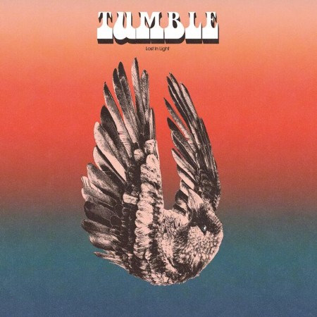 Tumble-Lost-In-Light-EP-16-BIT-WEB-FLAC-2025-STONERD.jpg