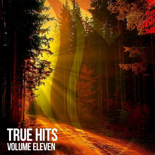 True-Hits-Vol-11-2026.jpg