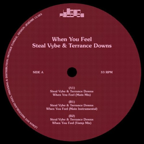 Steal-Vybe-x-Terrance-Downs-When-You-Feel-LEMAN005-WEB-2026-BB.jpg