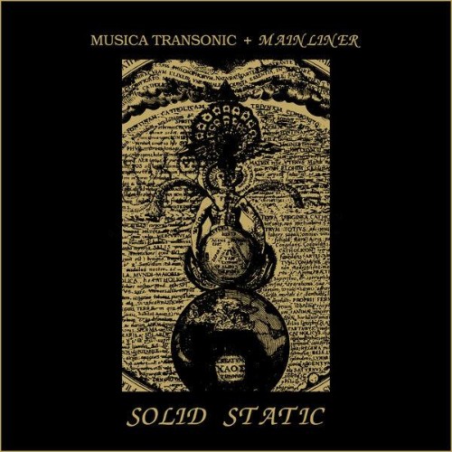 Musica-Transonic-Solid-Static-WEB-2026-ENVi-ED.jpg
