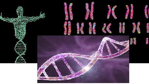 m-Of-ZKjhv-Tg-Tx0-NVs6hn9qipyd06-Gqif1.jpg