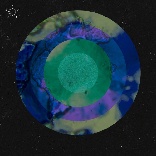 00-anml-mthr-cold-funktion-ep-flash397-web-2026-cover.jpg
