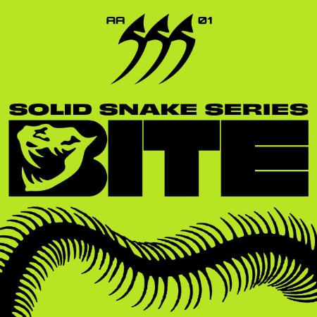 VA-Solid-Snake-Series-01-SSS01-24-BIT-WEB-FLAC-2025-WAVED.jpg