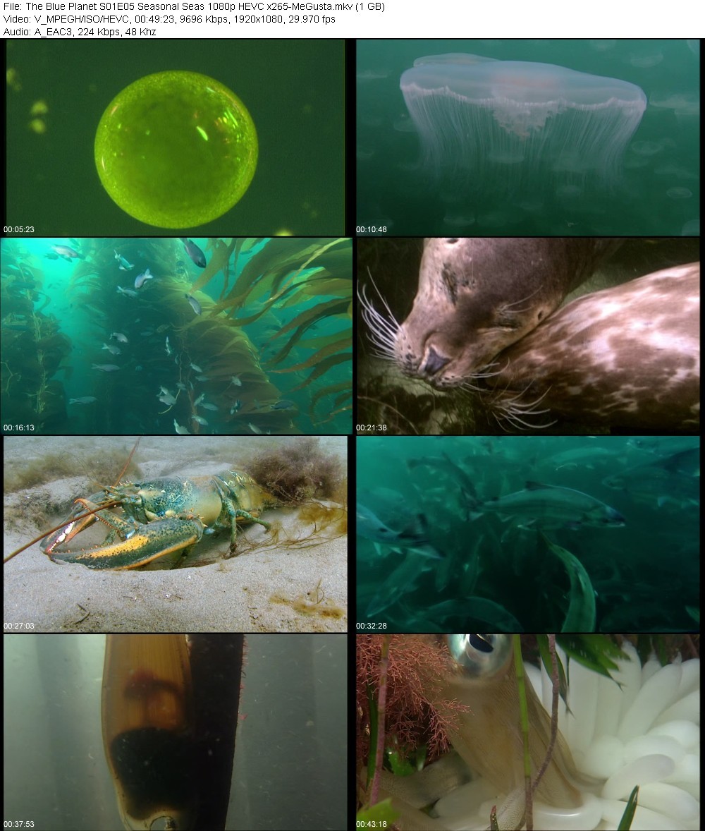 gMu4Mpo1_o.jpg