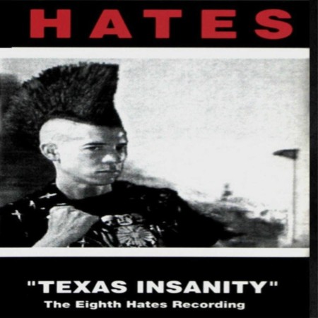 The-Hates-Texas-Insanity-2025-Remaster-16BIT-WEB-FLAC-2025-SDR.jpg