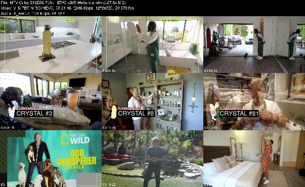 321812176_mtv-cribs-s19e09-720p-hevc-x265-megusta.jpg