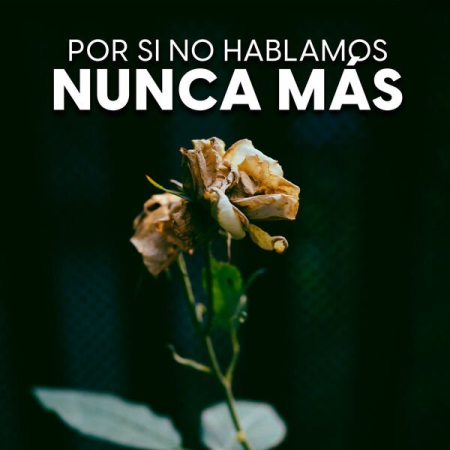 abd03a7b-55c3-471c-a6ce-b4eaa546fba0.png