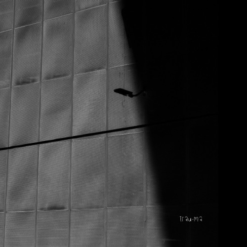 Stigmatique-Cyberspace-TRM374-16BIT-WEB-FLAC-2026-WAVED.jpg