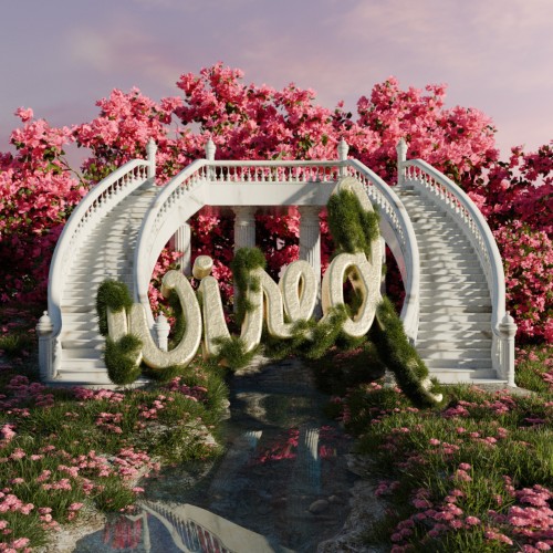 00-d4nyo-tapinda-w492-single-web-2026-cover.jpg