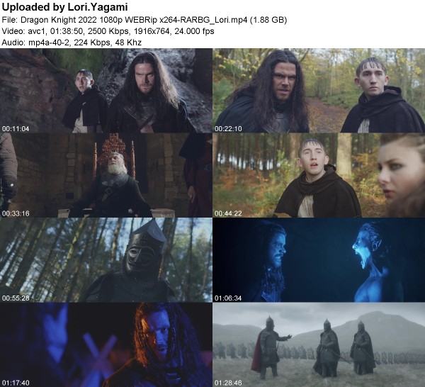 369871903_dragon-knight-2022-1080p-webrip-x264-rarbg_lori.jpg