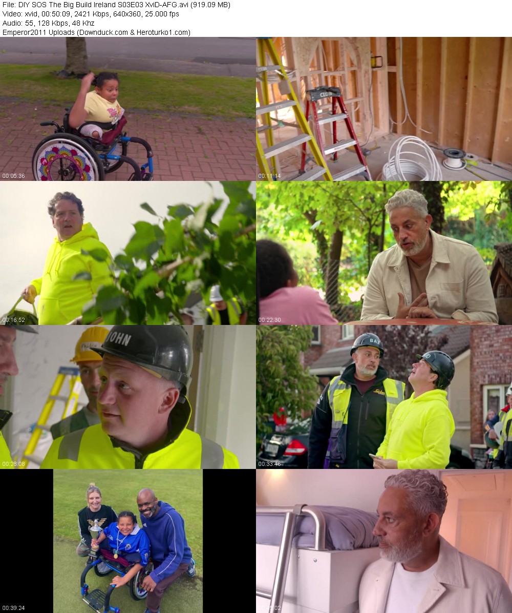 347184247_28m5vivfd2uw.jpg