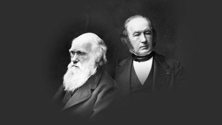 917f8222-f764-4beb-9a9d-b6132270f6dd.png