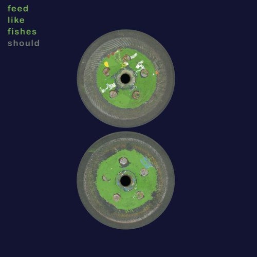 Should-Feed-Like-Fishes-WEB-2026-ENRi-CH.jpg
