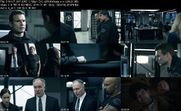 335367652_s-w-a-t-2017-s06e13-720p-hevc-x265-megusta.jpg