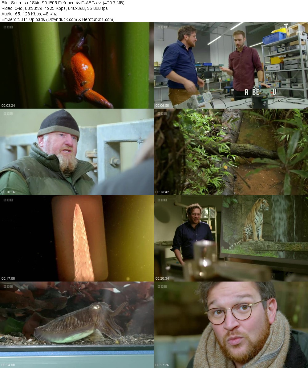 371697651_rxsrsa1l4m17.jpg