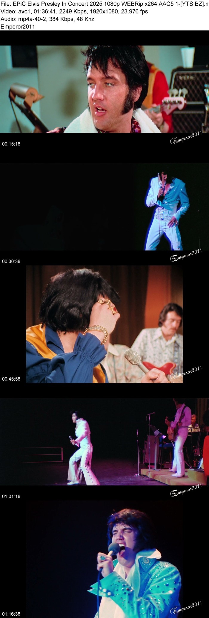 6H6U874T_o.jpg