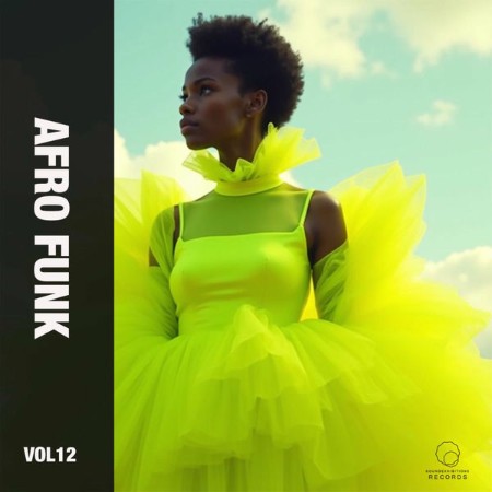 VA-Afro-Funk-Vol-12-2025-FLAC-16-BITS-44-1-KHZ-EICHBAUM.jpg